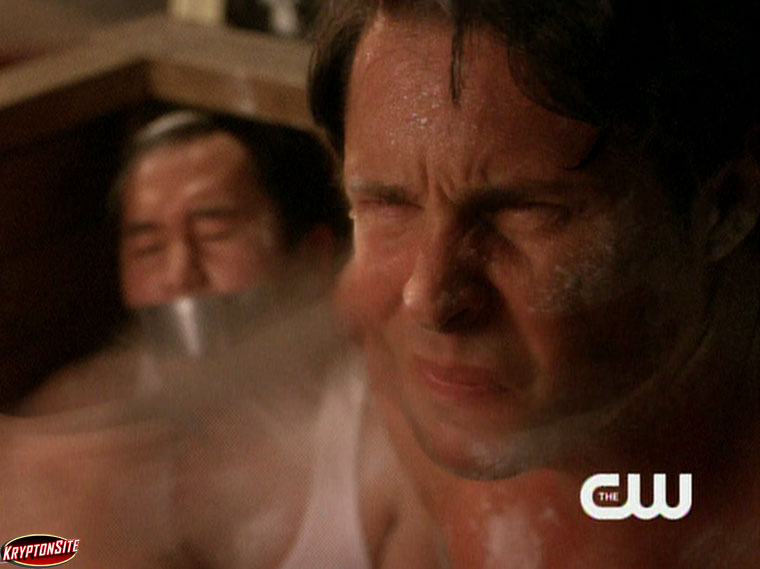 Smallville Idol Wonder Twins David Gallagher Allison Scagliotti