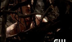 smallville eternal caps